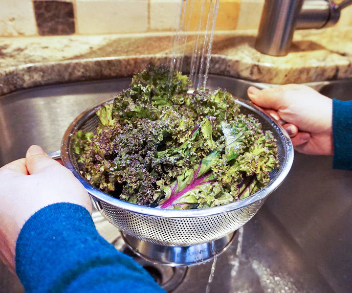 Stainless Steel Colander